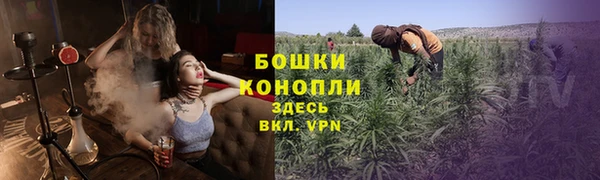 гидра Алексеевка